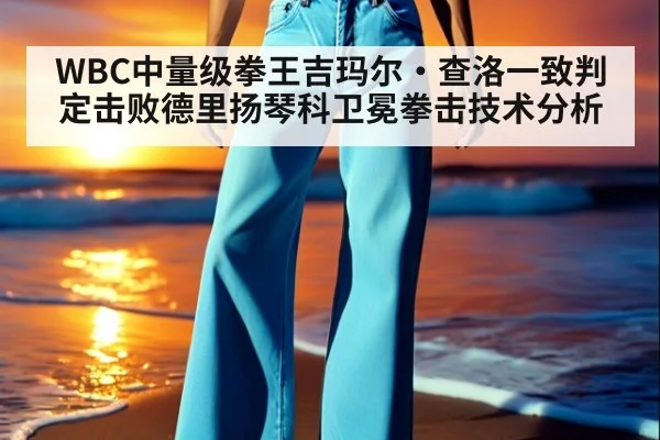 WBC中量级拳王吉玛尔·查洛一致判定击败德里扬琴科卫冕拳击技术分析